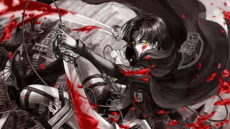 Levi Ackerman, Shingeki no Kyojin, Captain Levi, Attack on Titan