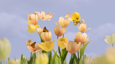 Microsoft, 50th Anniversary, Yellow tulips, Butterflies, Spring flowers