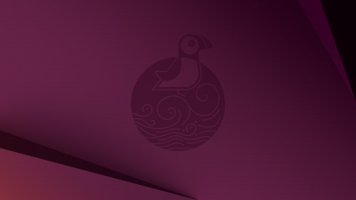 Ubuntu 25.04 Plucky Puffin, Stock, Abstract background, Purple background, ubuntu