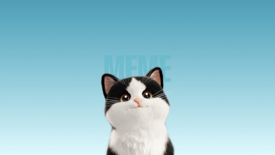 Cute Cat, Cartoon, Meme, Blue background, Blue gradient, 5K