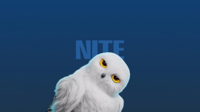 White Owl, Cute cartoon, 5K, Honor Magic V Flip 2, Stock, Blue background