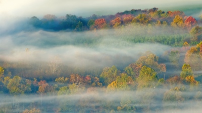 OS X Lion, Autumn, Fog, Landscape, Trees, Misty, Mac OS X, Stock, 5K