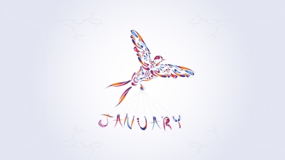 January, Abstract bird, Colorful abstract, Floral designs, 5K