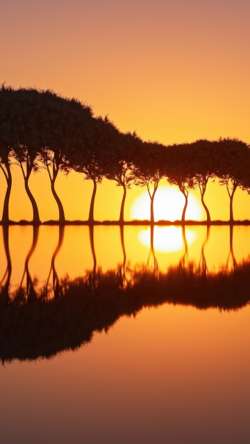 Guitar Island, Sunset